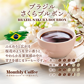 【期間限定3月マンスリー】ブラジル さくらブルボン 200g 詳細画像