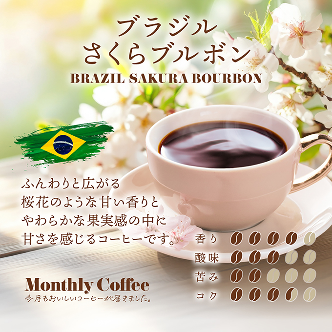 【期間限定3月マンスリー】ブラジル　さくらブルボン　200g 詳細画像 NO COLOR 1
