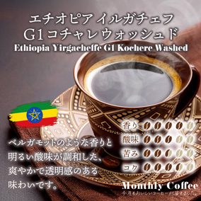 【期間限定11月マンスリー】エチオピア イルガチェフ G1 コチャレ ウォッシュド 200g  詳細画像