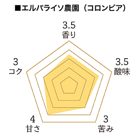 ドリパックコーヒーギフト SG-3（1928） 詳細画像