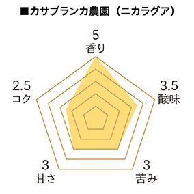 ドリパックコーヒーギフト SG-4（ベージュ） 詳細画像