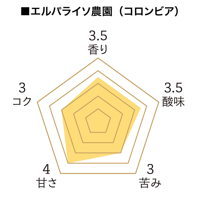 ドリパックコーヒーギフト SG-4（ベージュ） 詳細画像 カラーなし 8