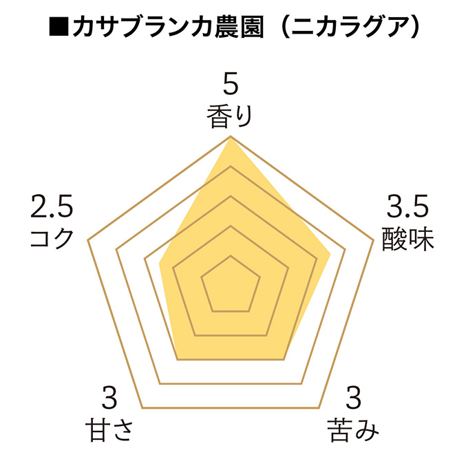 ドリパックコーヒーギフト SG-4（ベージュ） 詳細画像 カラーなし 9