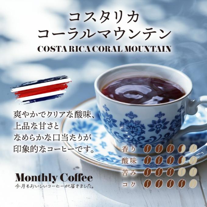 【5月マンスリー】コスタリカ コーラルマウンテン 詳細画像 NO COLOR 1