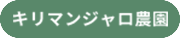 キリマンジェロ農園